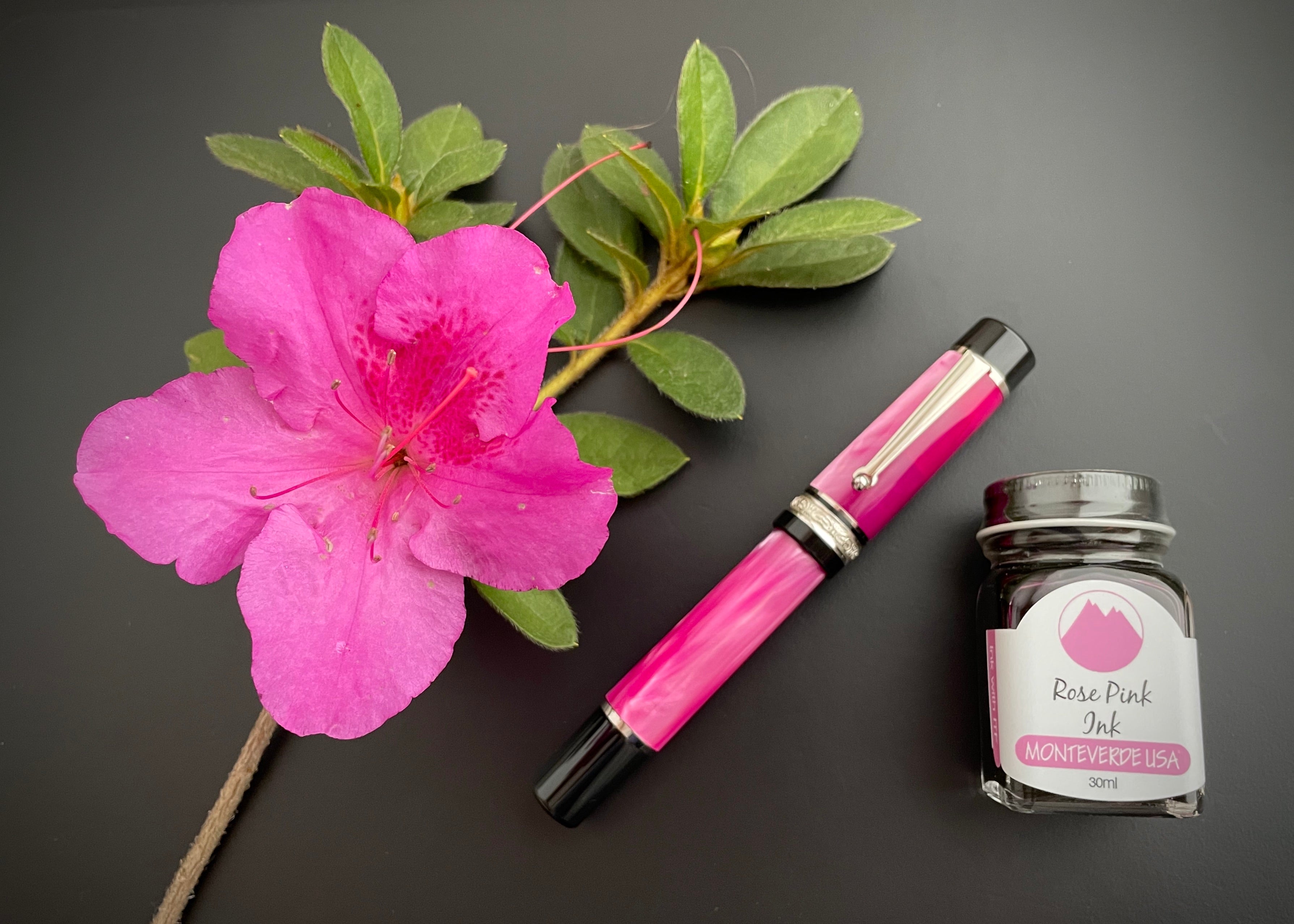 Delta DV Original Rosa Fountain Pen Pink Pen Boutique