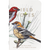 Field Notes Memo Book - The Birds and Trees (North America Edition)-Pen Boutique Ltd