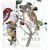 Field Notes Memo Book - The Birds and Trees (North America Edition)-Pen Boutique Ltd