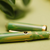 Nahvalur Nautilus Fountain Pen - Spring Nahvalur