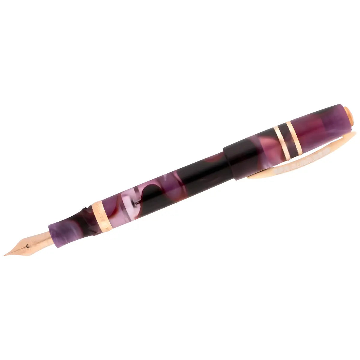 Visconti Homo Sapiens Fountain Pen - Iris Garden (Limited Edition) Visconti Pens