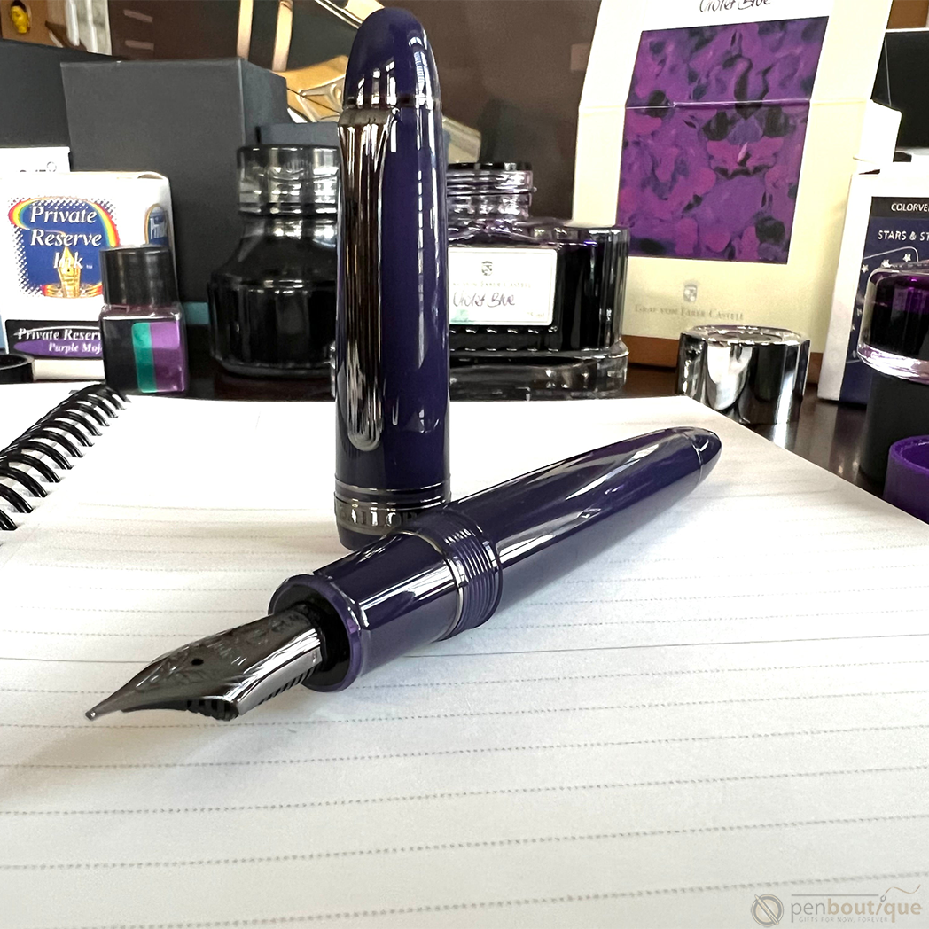 SAILOR WICKED WITCH OF THE WEST 1911S FOUNTAIN PEN