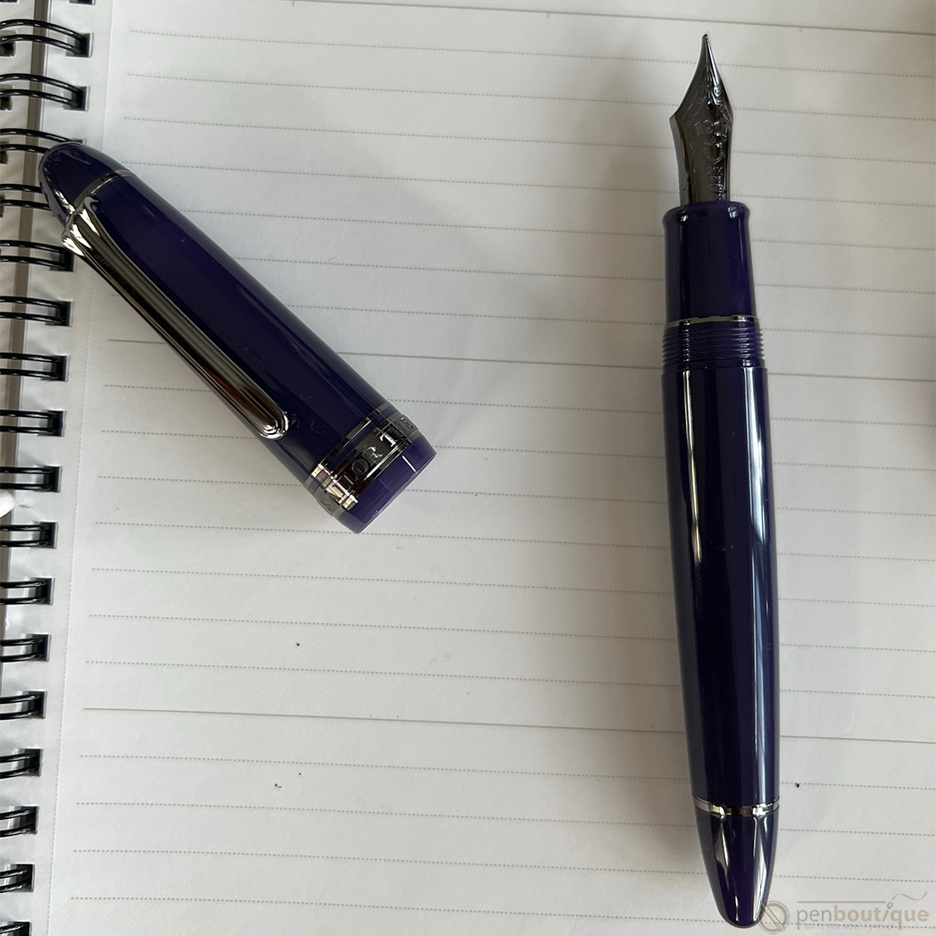 Sailor 1911 King of Pen Fountain Pen – US Exclusive – Wicked Witch of the  West, Black Trim – The Nibsmith