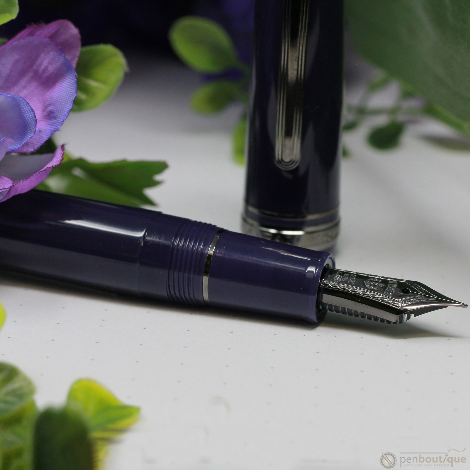 https://www.penboutique.com/cdn/shop/products/Sailor-1911L-Large-Fountain-Pen---Wicked-Witch-of-the-West-5.png?v=1593806799