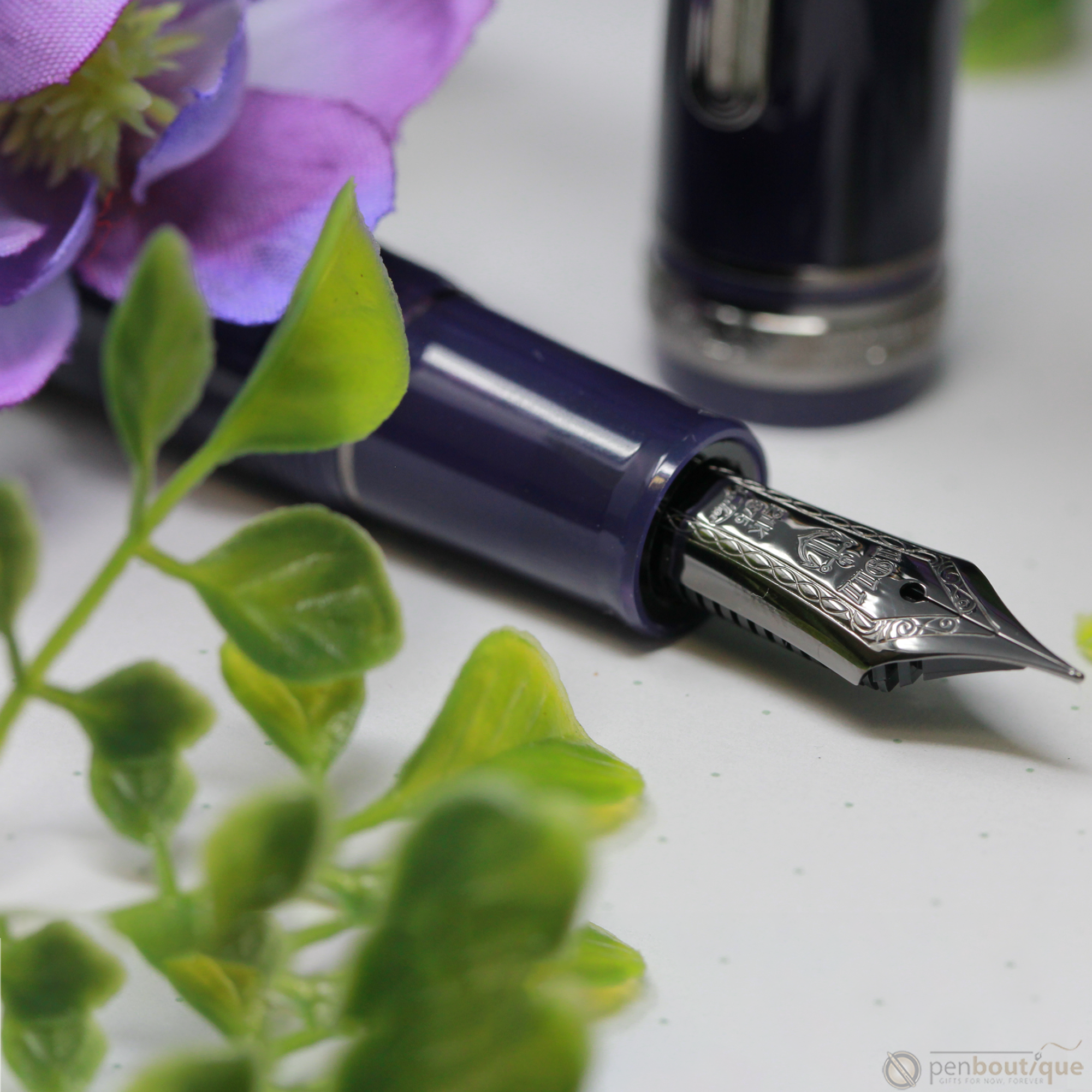 Sailor 1911 Standard Wicked Witch of the West Fountain Pens