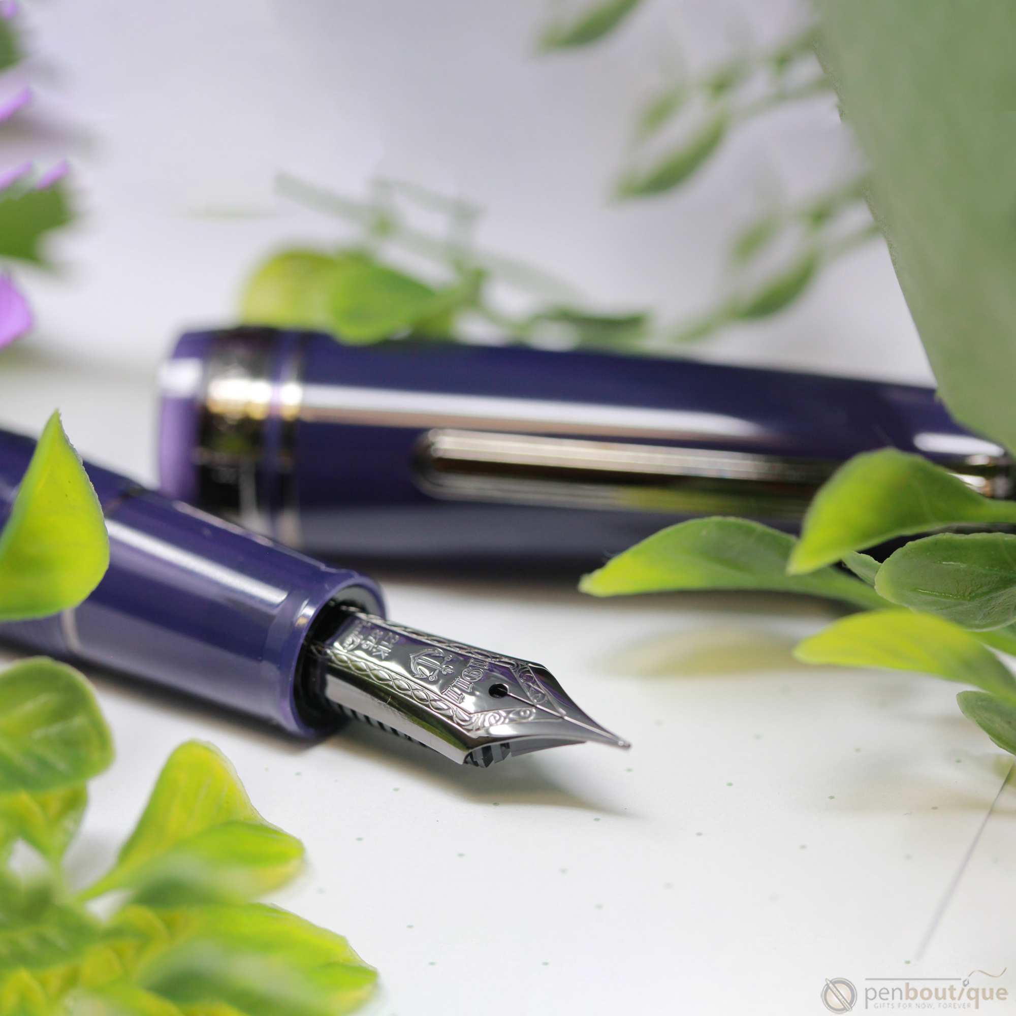 Sailor 1911 King of Pen Fountain Pen – Wicked Witch of The West Broad