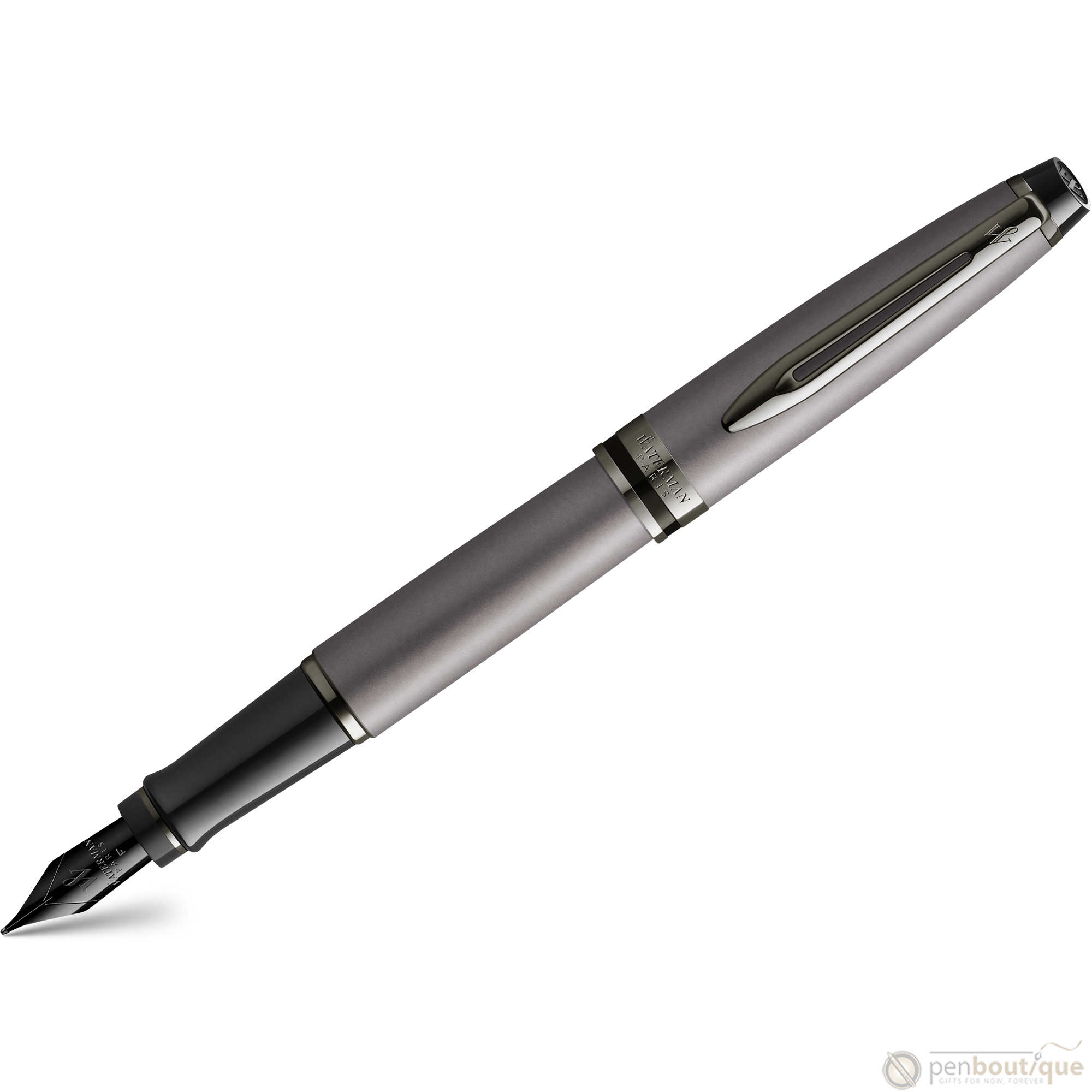 Waterman Expert3 Fountain Pen - Metallic Silver - Ruthenium Trim (Special Edition)-Pen Boutique Ltd