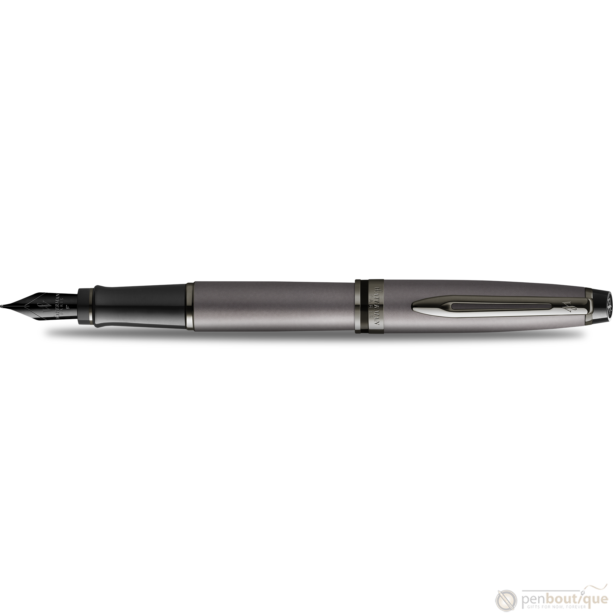 Waterman Expert3 Fountain Pen - Metallic Silver - Ruthenium Trim (Special Edition)-Pen Boutique Ltd